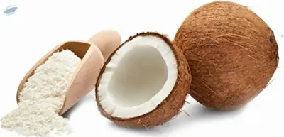 Frozen Shredded Coconut by BR Global Trade