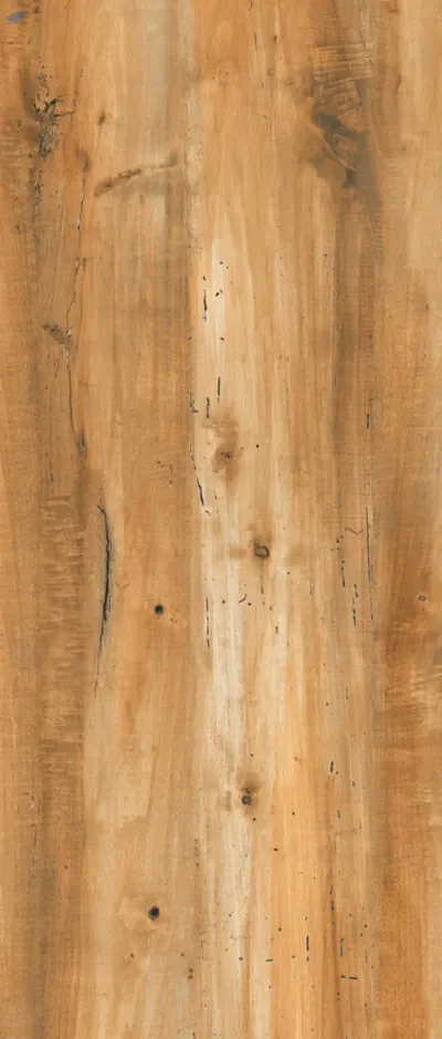 Porcelain Tiles Wooden Finish by GK Universal