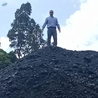 Coal