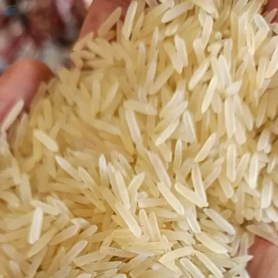 1509 Sella Rice by BADRI AGRO VENTURES PRIVATE LIMITED