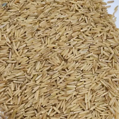 Long Grain Brown Rice by BADRI AGRO VENTURES PRIVATE LIMITED