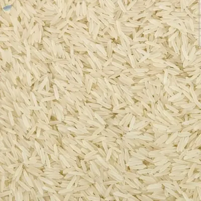 Parboiled Rice by BADRI AGRO VENTURES PRIVATE LIMITED