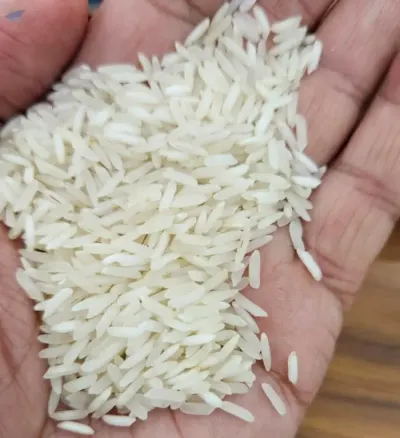PR-11 Rice by BADRI AGRO VENTURES PRIVATE LIMITED