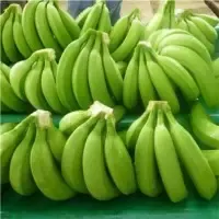 Cavendish Banana