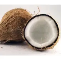 Semi Husked Coconut