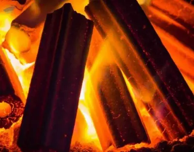 Coconut Shell Charcoal Hexagonal Briquette