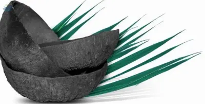 Coconut Shell Charcoal