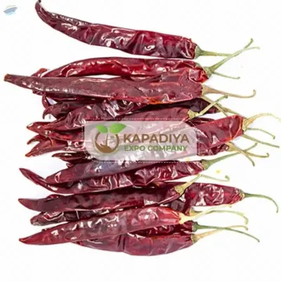 With Steam Wrinkle Chili Exporter from India by KAPADIYA EXPO COMPANY