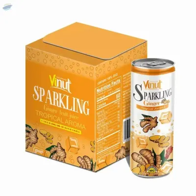 Tropical Aroma Ginger Sparkling Water by NAM VIET FOODS & BEVERAGE JSC