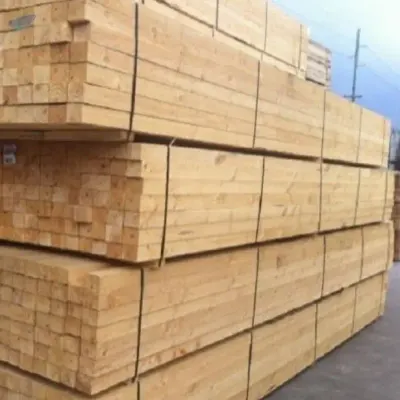 2025 Pine wood - Rubber wood -  Falcata by CV Indo Bina Mandiri
