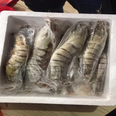 Frozen Big Size tiger Shrimp for Sale