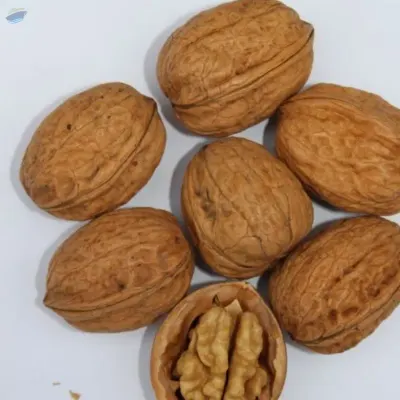 Walnut Kernels by Prodekspo Plus LLC