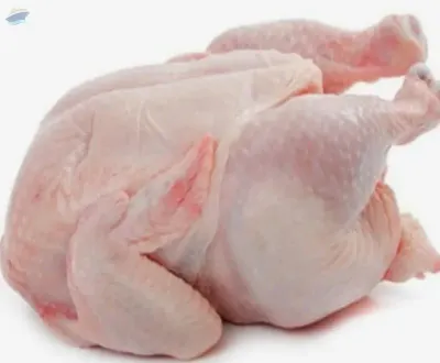 Frozen Chichen