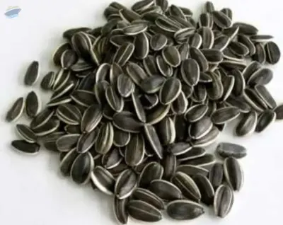 Sunflower Seeds