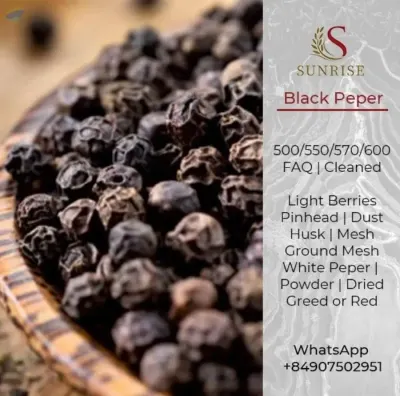 Black White Pepper from Vietnam