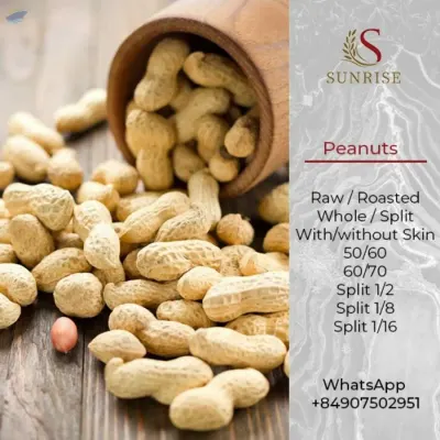 Peanuts from Vietnam by Sunrise Ins Vietnam