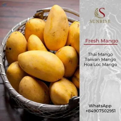Fresh Mango from Vietnam by Sunrise Ins Vietnam