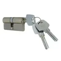 Euro Cylinder Locks by Ayushri Industries