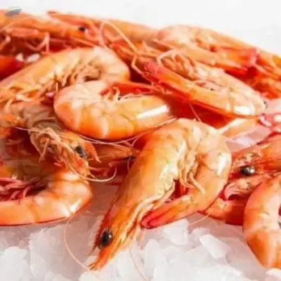 Natural Shrimp Shell From Vietnam by VIGI FARM PRODUCTION COMPANY LIMITED