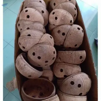 Coconut Shell Pot by VIGI FARM PRODUCTION COMPANY LIMITED