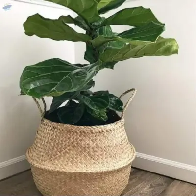 Seagrass Belly Basket by VIGI FARM PRODUCTION COMPANY LIMITED