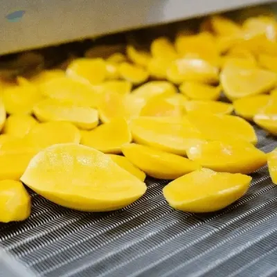 Frozen Mango From Vietnam by VIGI FARM PRODUCTION COMPANY LIMITED