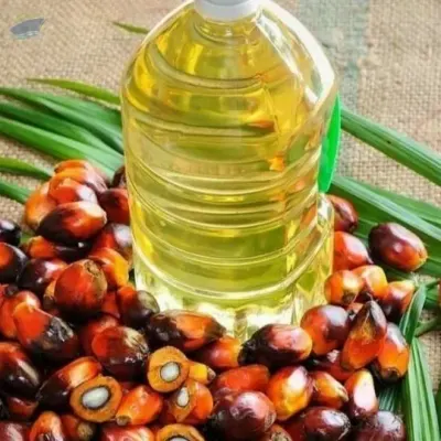 Pure Red Palm Oil by Premierbiz