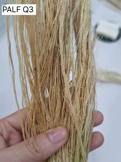 Natural Pineapple Fiber by VIGI FARM PRODUCTION COMPANY LIMITED