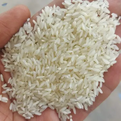 Rice (Basmati & Non Basmati) Rice