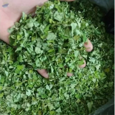 Dried  Moringa
