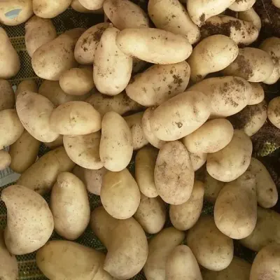 Potatoes