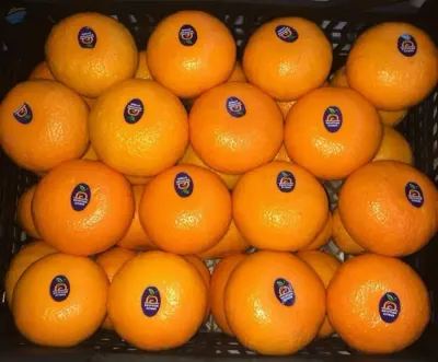 Murcott Mandarin