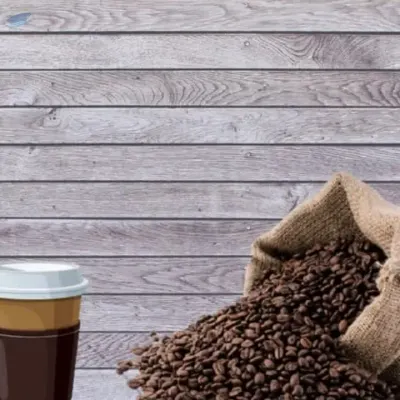 Hot Selling  Arabica and Robusta Green Coffee