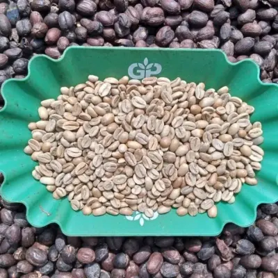 Best  Quality Arabic Coffee Good Price
