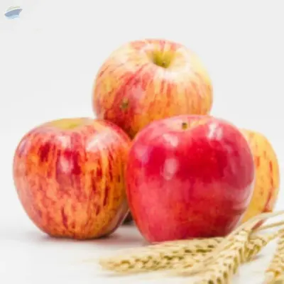 Apple - Royal Gala by Berrydale Foods Private Limited