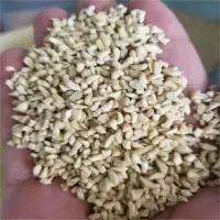 Broken Cashew Nut by 99 Gold Data Processing Trading Company Limited