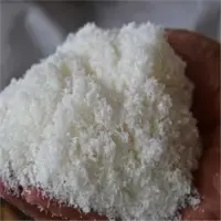 Vietnam Desiccated Coconut