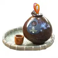 Coconut Wine, Natural Fruit Wine by 99 Gold Data Processing Trading Company Limited
