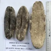 Dried White Sea Cucumber by 99 Gold Data Processing Trading Company Limited