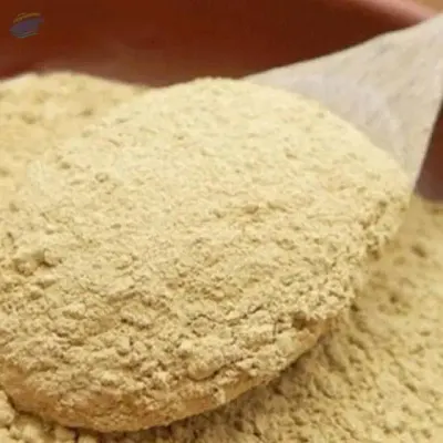 Rice Bran