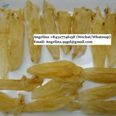 Dried Fish Maw by 99 Gold Data Processing Trading Company Limited