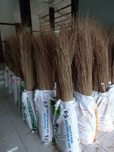 Coconut/Nipal Broom Stick by 99 Gold Data Processing Trading Company Limited