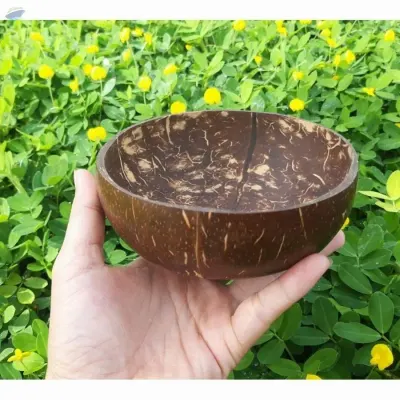 Coconut Bowl by 99 Gold Data Processing Trading Company Limited