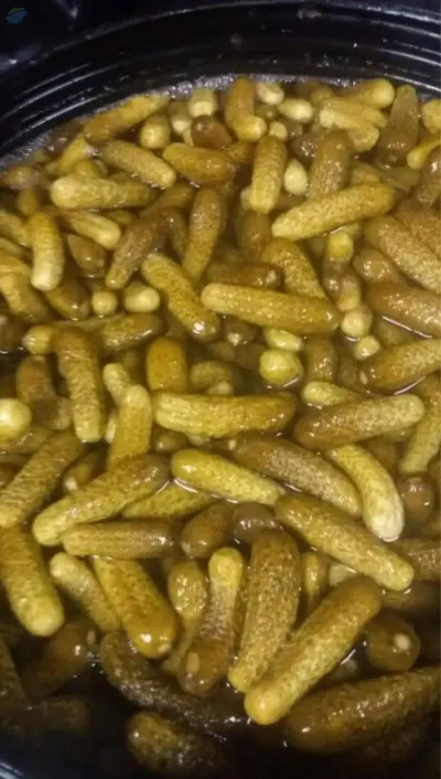 Canned Pickled Cucumber by 99 Gold Data Processing Trading Company Limited
