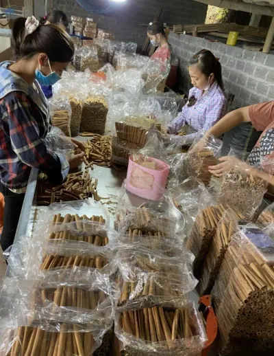 Cassia Cinnamon Stick by 99 Gold Data Processing Trading Company Limited