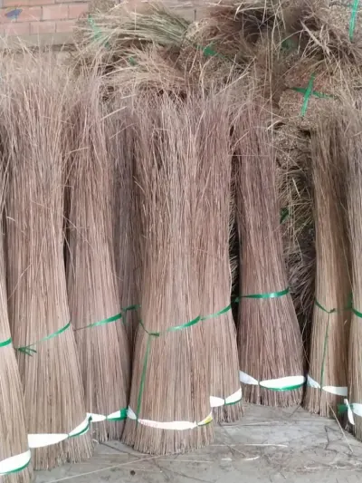 Broom Stick by 99 Gold Data Processing Trading Company Limited