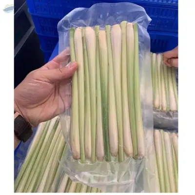Fresh/ Frozen Lemongrass Stick by 99 Gold Data Processing Trading Company Limited