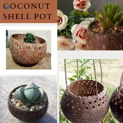 Coconut Shell Pot From Vietnam by 99 Gold Data Processing Trading Company Limited