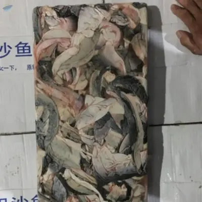 Frozen Pangausis Fish Skin