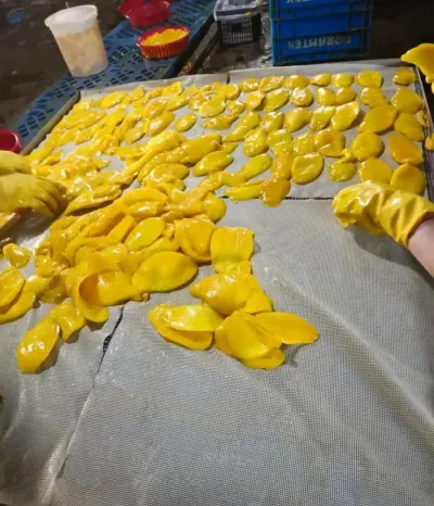 Soft-Dried Mango by 99 Gold Data Processing Trading Company Limited
